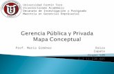 Mapa gerencia pública y privada