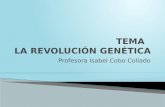 Tema  la revolución genética, ingeniería genética