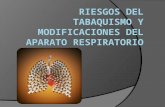 Riesgos del tabaquismo y modificaciones del aparato respiratorio