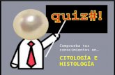 Quiz Citologia