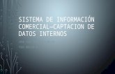 Sistema de información comercial|captacion de datos internos