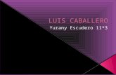 Luis Caballero - Yurani Escudero