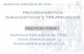 Copia De Alumno  Practicas Pdt 2 Curso Torax  I