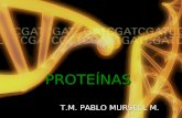 5. proteínas