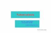 Tuberculosis Dr. Carlos Jadue
