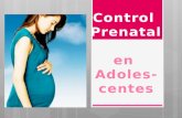 Diapos de control prenatal