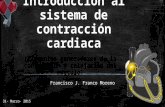 Sistema de contracción cardiaca