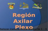 Región Axilar y Plexo Braquial