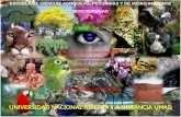 Biodiversidad tarea de reconocimiento Diana Ramirez