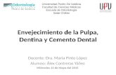Envejecimiento de la pulpa, dentina y cemento