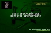 SesióN 02 Identificacion Del Material Hereditario