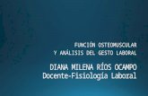 Osteomuscular laboral