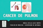 Cancer de pulmon exposicion