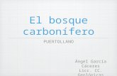 El bosque carbonífero en puertollano