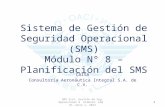 M8 sms sistema de gestion de seguridad operacional r0 junio 1 2013  planificación del sms