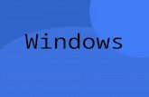 Windows (1)
