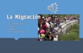 La migración (modificado) 2