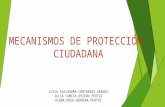Mecanismos de protección ciudadana