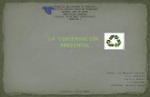 Mapas conceptuales de la conservación ambiental