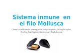 Sistema inmune en mollusca