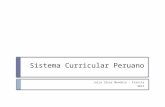 Sistema curricular-peruano (1)