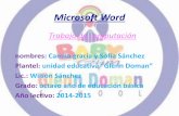 Microsoft word2