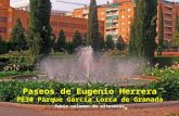 Parque Garcia Lorca