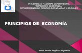 Principios De Economía prof. Maria Figarella