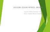 Division celular mitosis y mediosis