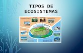 Tipos de ecosistemas exposicion