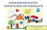 Atención educativa domiciliaria en andalucía