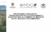 Programa conjunto "Integración de ecosistemas y adaptación al cambio climático en el macizo colombiano". Nestor Garzón.