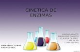 Cinetica de enzimas22