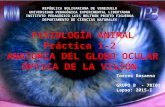 Anatomia del globo ocular y optica de la vision