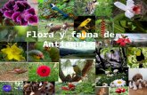 Flora y fauna de antioquia