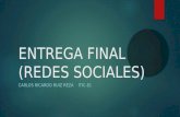 Entrega final (REDES SOCIALES)