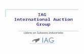 IAG Company Profile