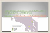Pueblos indígenas y sus derechos, Costa Rica