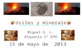 Fósiles y minerales
