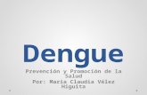 Dengue: Preveción y Promoción de la Salud