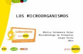 Capacitación "Los microorganismos"