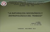 Naturaleza sociológica y antropológica del trabajo (vanessa)