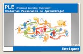 Ple (personal learning enviroment)