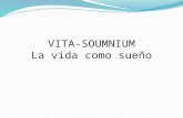 Vita soumnium(la vida como sueño)