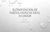eutrofizaci³n de fuentes hidricas en el ecuador