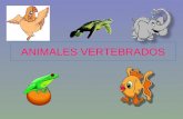Animales vertebrados catolica  2012 c febrero[1]