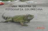 Una muestra de fotografía colombiana para subir