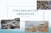 Contaminacion ambiental axel