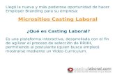 Micrositios en CastingLaboral