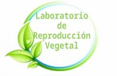 Laboratorio de reproducción vegetal